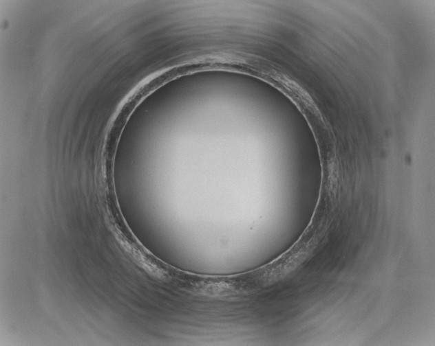 X0000081280784200701251627