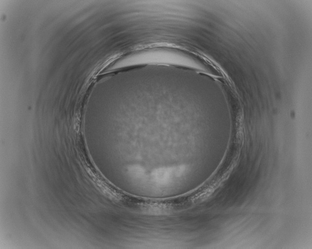 X0000081280785200701251627