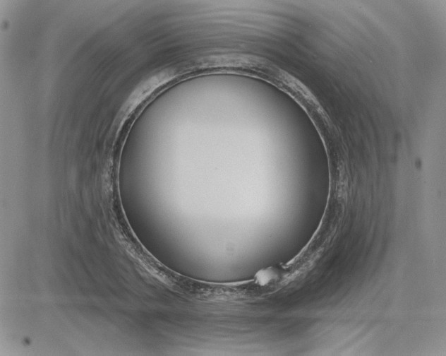 X0000081280786200701251627