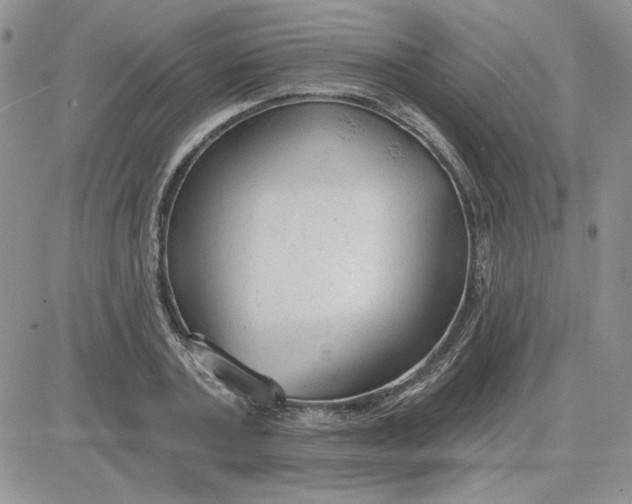 X0000081280787200701251627