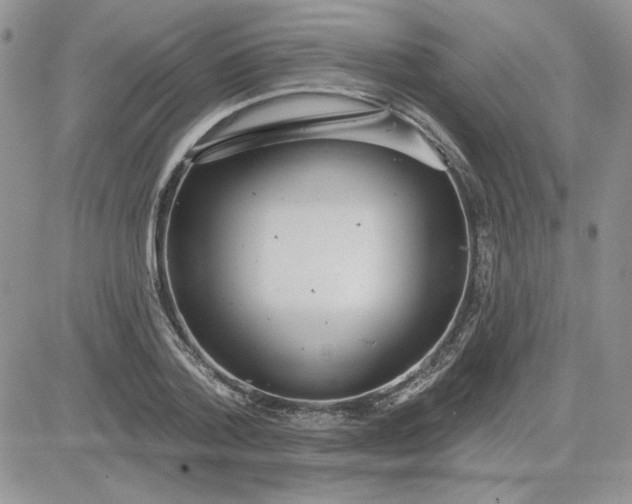 X0000081280788200701251627