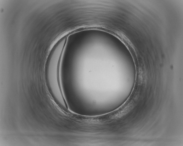 X0000081280789200701251627