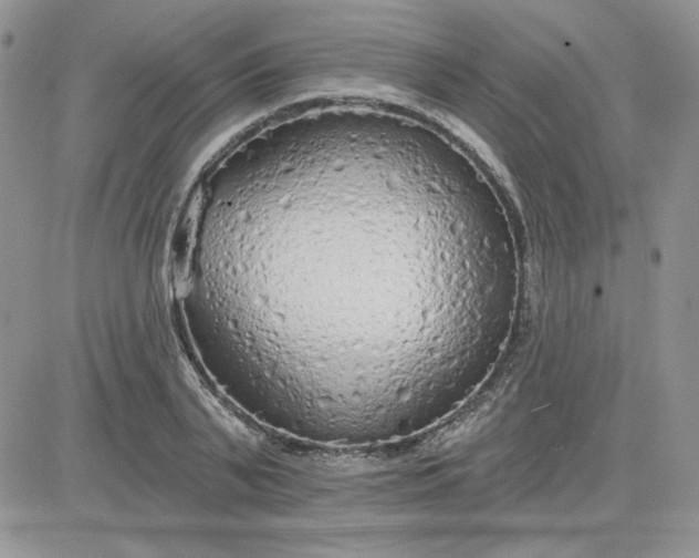 X0000081280791200701251627