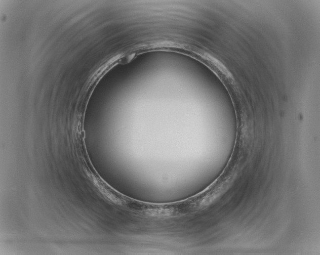 X0000081280793200701251626