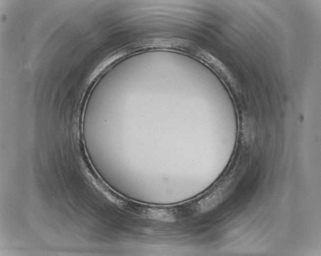 X0000081280794200701251626