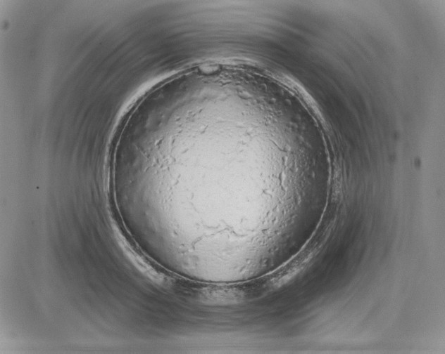 X0000081280795200701251626