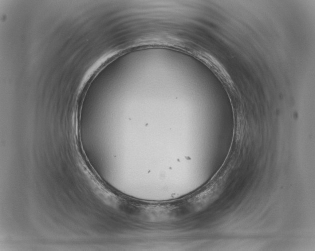 X0000081280796200701251626