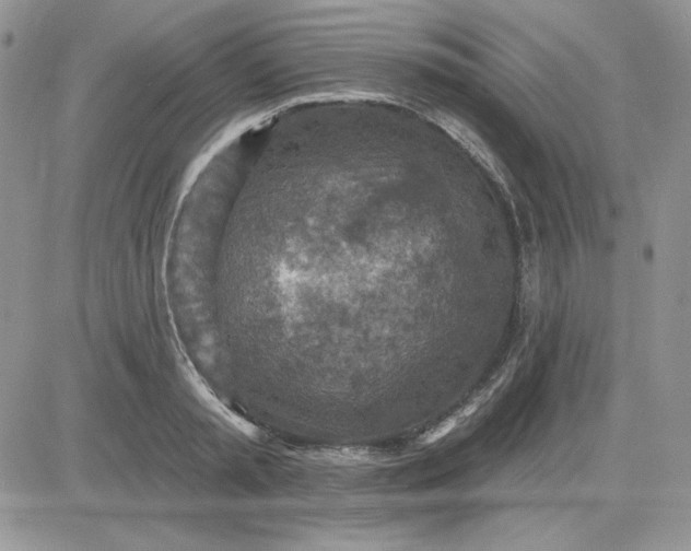 X0000081280797200701251626