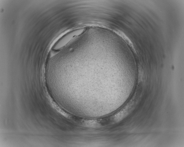 X0000081280798200701251626