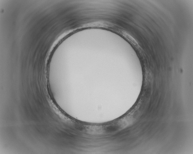 X0000081280800200701251626