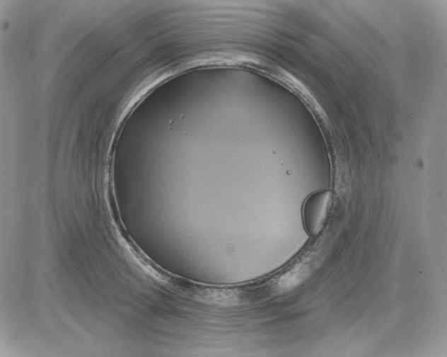 X0000081280802200701251626