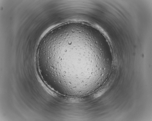 X0000081280803200701251626