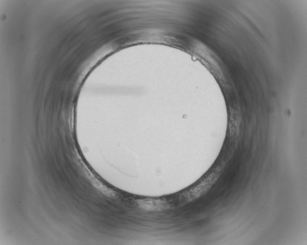 X0000081280804200701251626