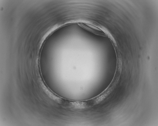 X0000081280805200701251626