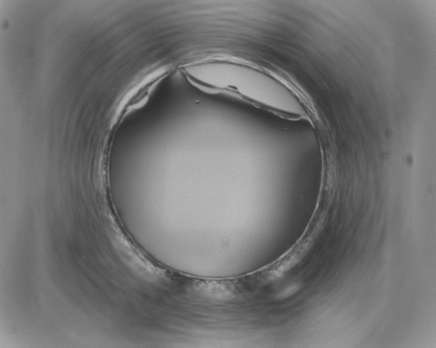 X0000081280806200701251626