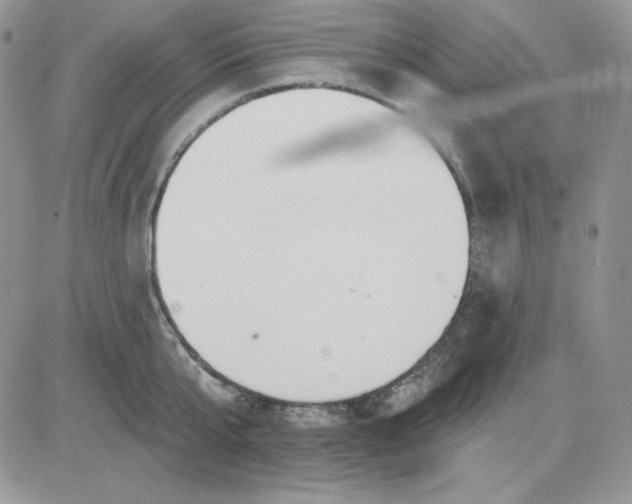 X0000081280807200701251626