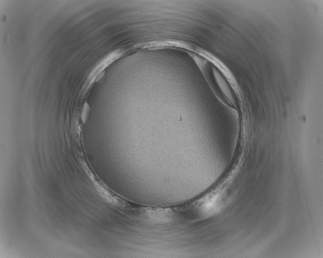 X0000081280809200701251626