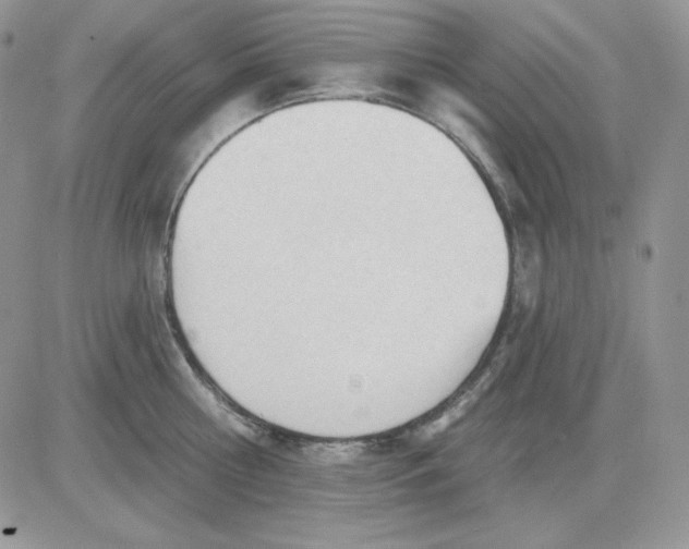 X0000081280810200701251626