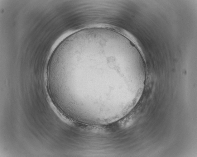 X0000081280811200701251626