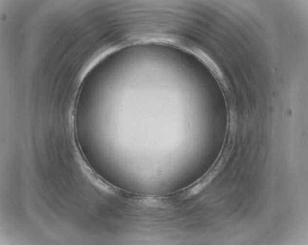 X0000081280814200701251626