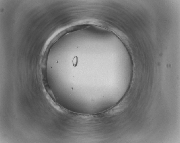 X0000081280816200701251626