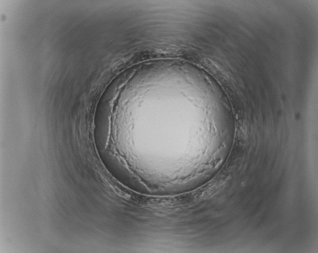 X0000081280817200701251625