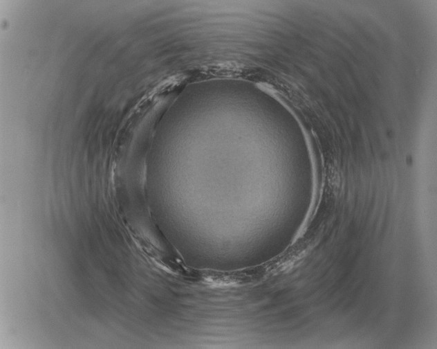 X0000081280818200701251625