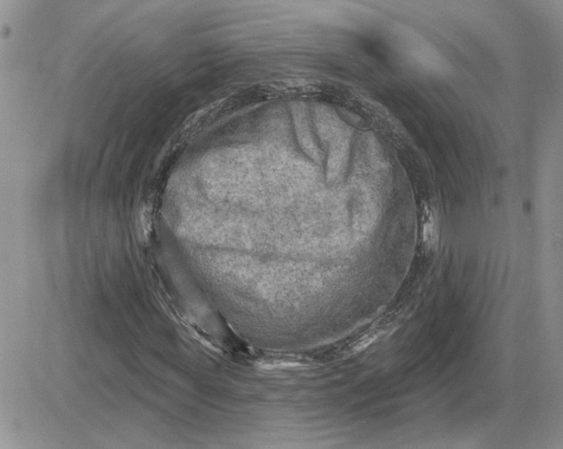 X0000081280819200701251625