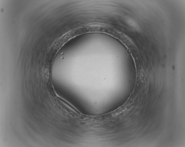 X0000081280821200701251625