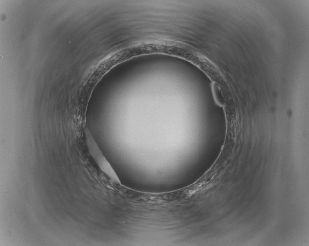 X0000081280822200701251625