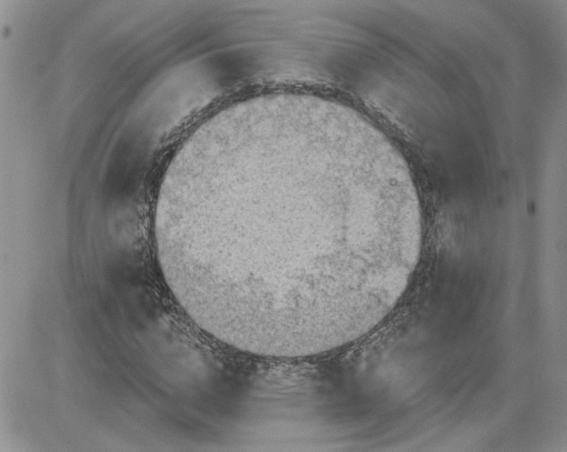 X0000081280824200701251625