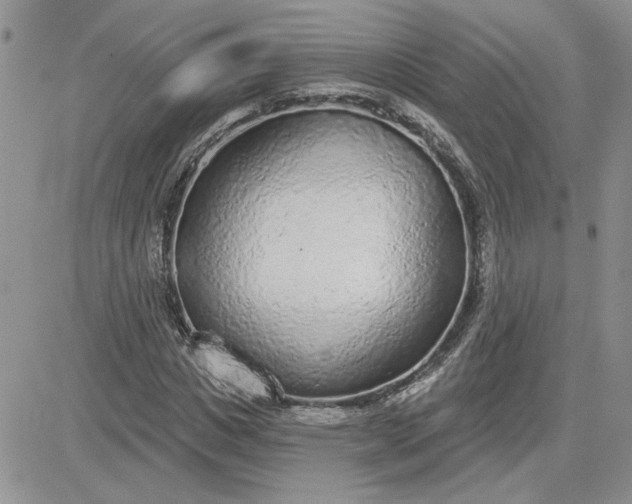 X0000081280825200701251625