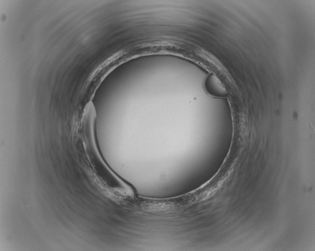 X0000081280826200701251625