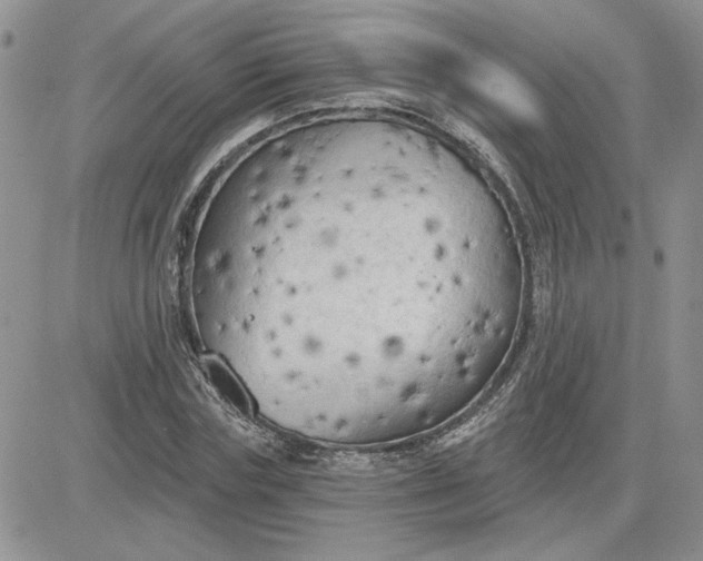 X0000081280827200701251625