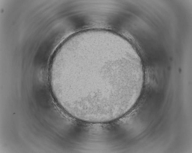 X0000081280828200701251625