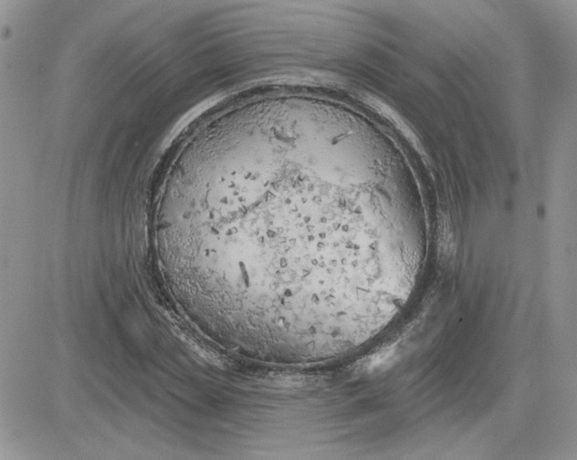 X0000081280829200701251626