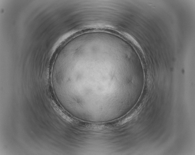 X0000081280831200701251626