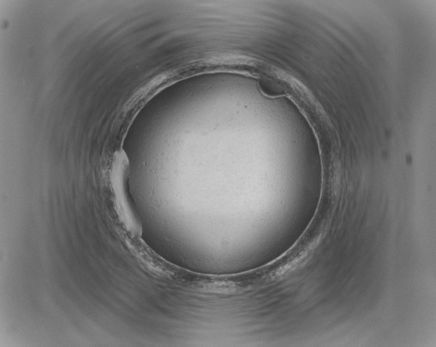 X0000081280833200701251626