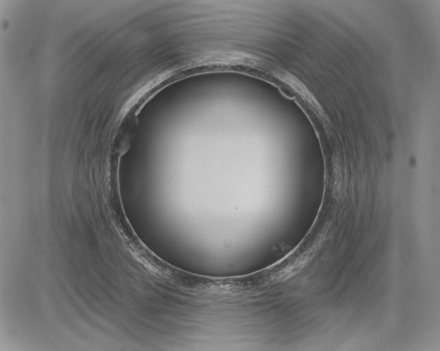 X0000081280834200701251626