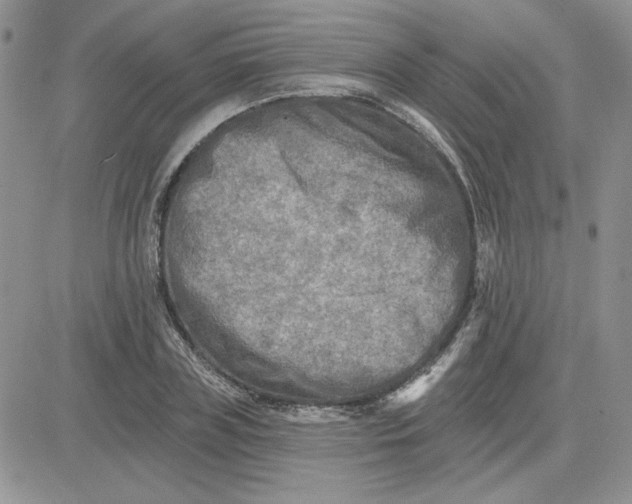 X0000081280835200701251626