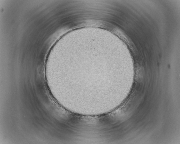 X0000081280836200701251626