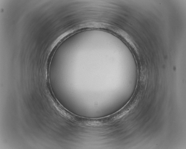 X0000081280837200701251626