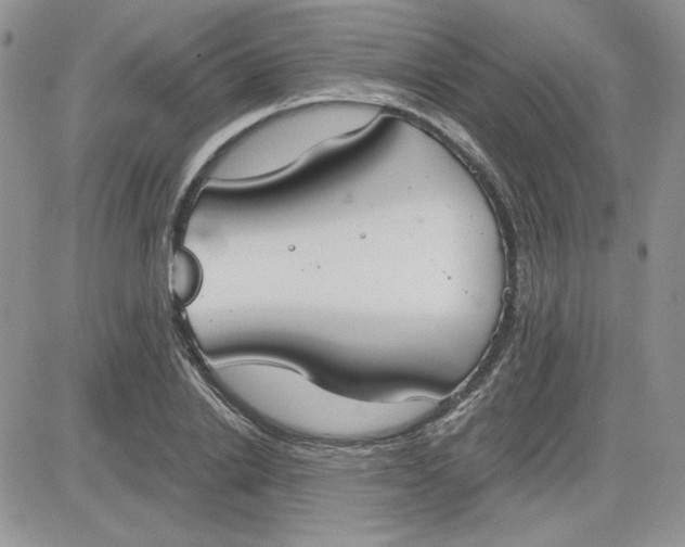 X0000081280838200701251626