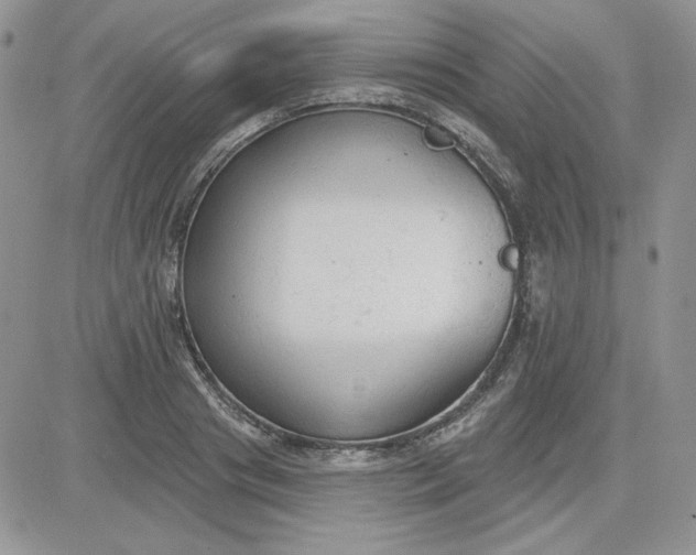 X0000081280841200701251626