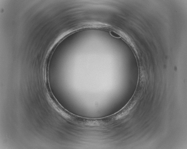 X0000081280843200701251626