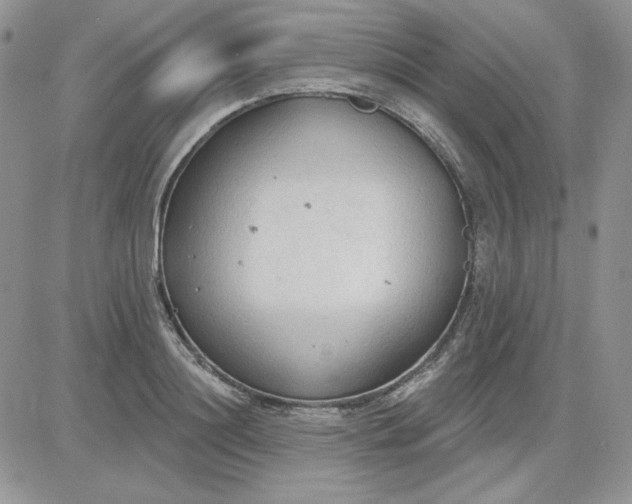 X0000081280844200701251626