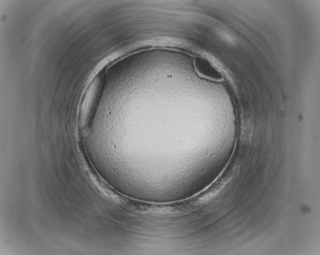 X0000081280845200701251626