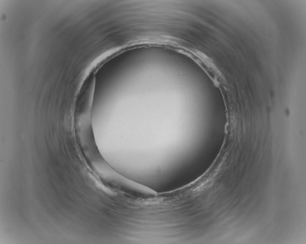 X0000081280846200701251626