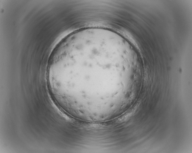 X0000081280847200701251626