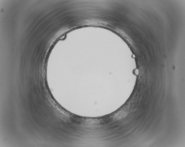 X0000081280848200701251626